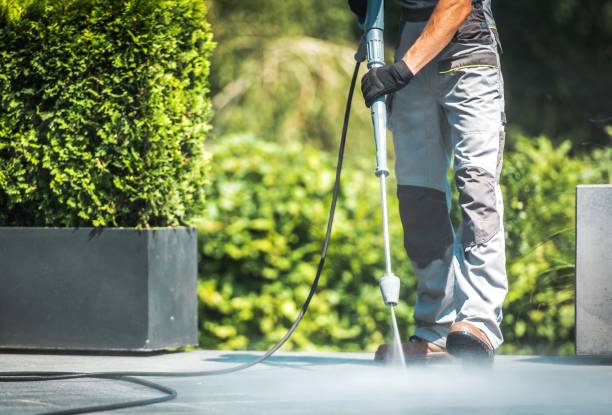 Best Restaurant Pressure Washing  in Melrose, MN