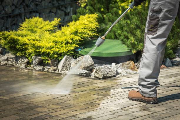 Best Spring Cleaning  in Melrose, MN