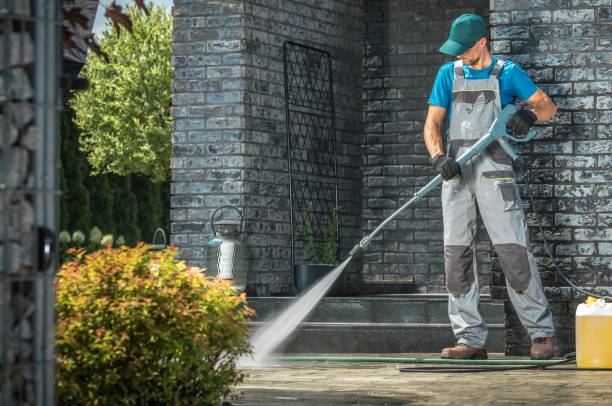 Best Soft Washing  in Melrose, MN